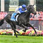 mcewen stakes bet on