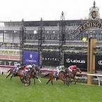 lets elope stakes bet on